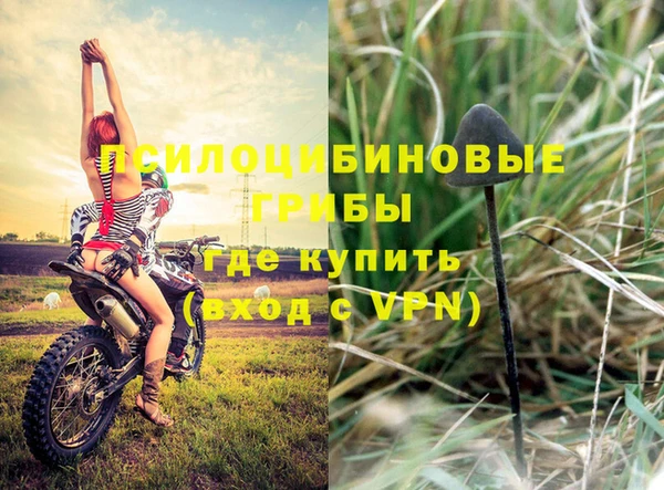 mdpv Балахна