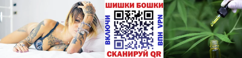 Купить  Ржев  Бошки Шишки план 